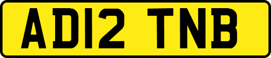 AD12TNB