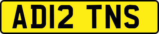 AD12TNS