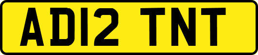 AD12TNT
