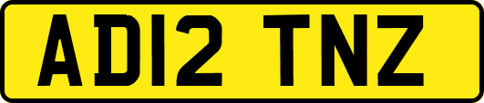 AD12TNZ