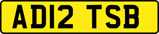 AD12TSB