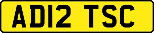 AD12TSC