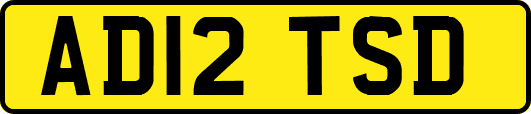 AD12TSD