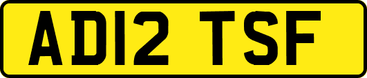 AD12TSF