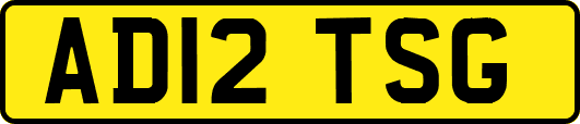 AD12TSG