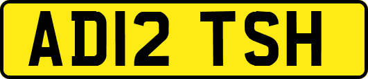 AD12TSH