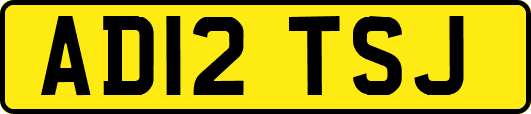 AD12TSJ