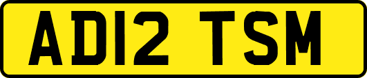 AD12TSM