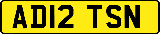 AD12TSN