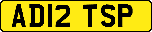 AD12TSP
