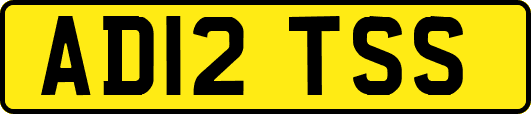 AD12TSS