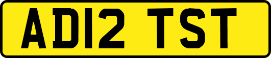AD12TST