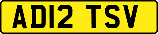 AD12TSV