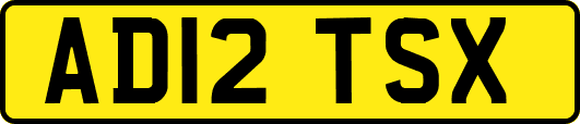 AD12TSX