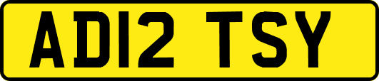 AD12TSY