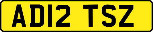 AD12TSZ