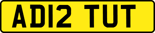AD12TUT