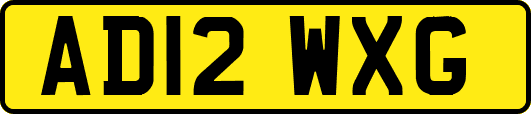 AD12WXG