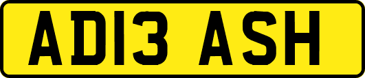 AD13ASH