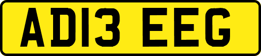 AD13EEG