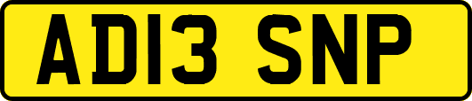 AD13SNP