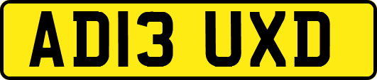 AD13UXD