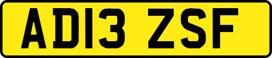AD13ZSF