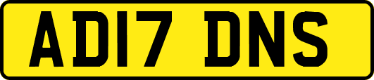 AD17DNS