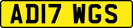 AD17WGS