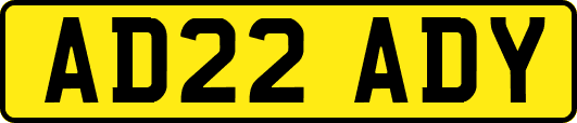 AD22ADY