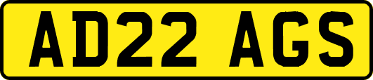 AD22AGS