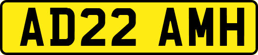 AD22AMH