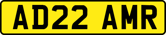 AD22AMR