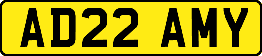 AD22AMY