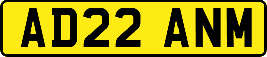 AD22ANM