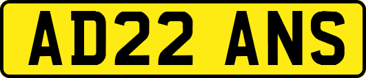 AD22ANS