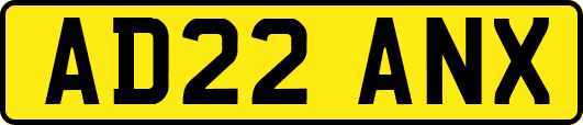 AD22ANX