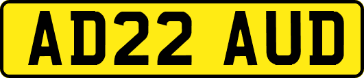 AD22AUD