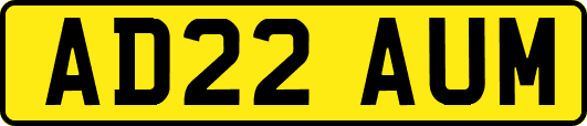 AD22AUM