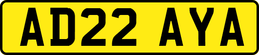 AD22AYA