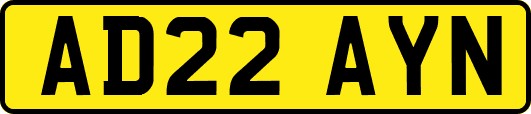 AD22AYN