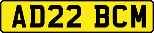 AD22BCM