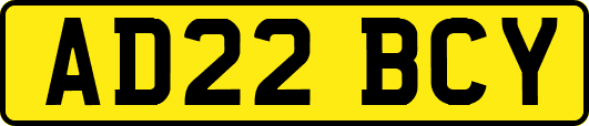 AD22BCY