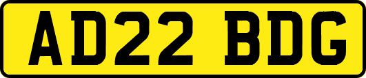 AD22BDG