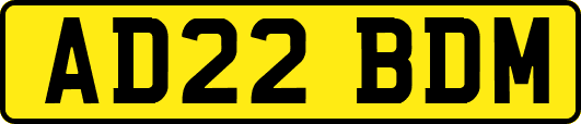 AD22BDM