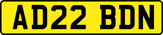 AD22BDN