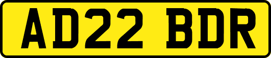 AD22BDR