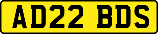 AD22BDS