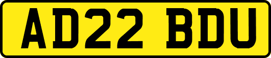 AD22BDU
