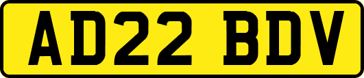 AD22BDV